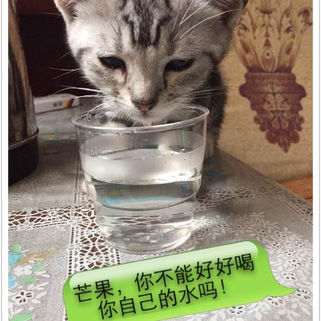 存款证明的日期是怎么算的